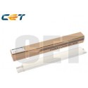 CET Fuser Cleaning Web Ricoh AE04-5099